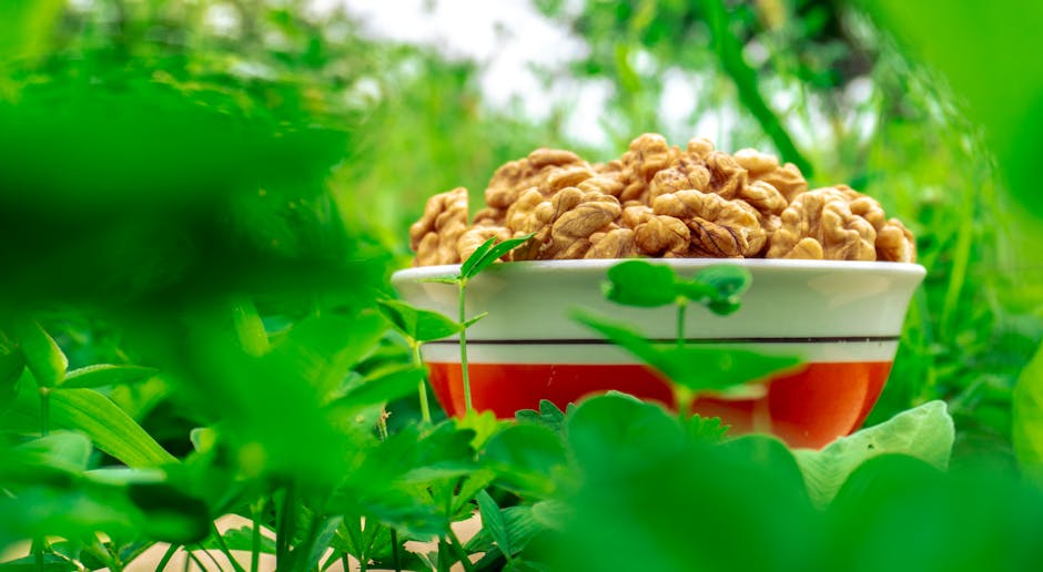 高蛋白飲品：健康與營養的完美結合