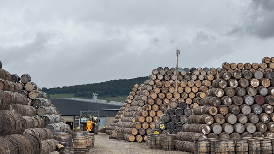 探索迷你倉的世界：一段靜謐且實用的收納之旅
