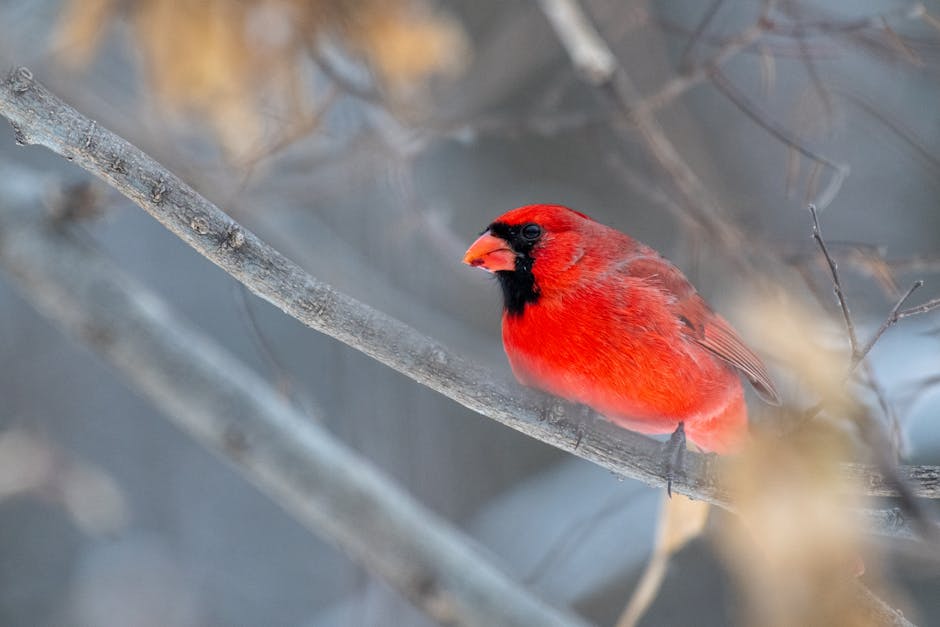 了解並選擇 Rejuran水光針：你該知道的關鍵資訊